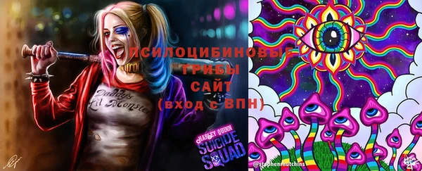 сатива Абдулино