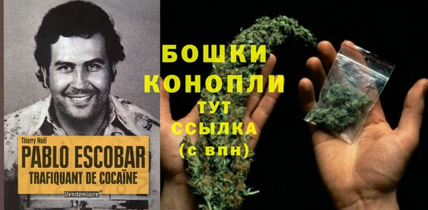 сатива Абдулино